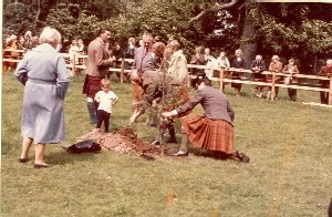 Tree Planting